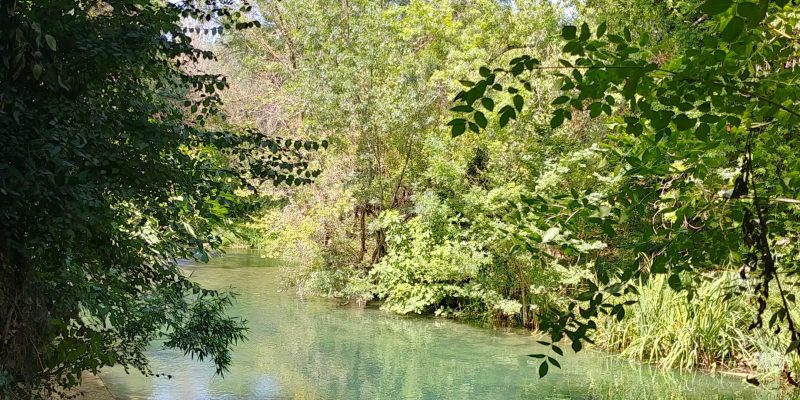 HB = 0,5,-3 FN=0 FB = 0 outdoor = 1 ISO = 50.000000 exp=3.257329 return = 0   AC Bscale(1.3) Dscale(1.3) enhenced_level(0) isOutdoor(0) result(1)  FM0 CR1.04 FC111111111: bfalic 0000X:zzzzzH87030bzzzzzz0 a fb5305c04385f04224503ea1040 c30 95289  0  038112b367  0  0  0  0 0 0 0 0367d120e114  159 2352d123e11c  159 233dd126e124  159 2328d109e10d  159 233ed0dfe0e8  259 2348d10ee118  259 2352d122e129  259 235cd132e138  25a 2366d139e13d  25a 235cd136e137  35a 22633ef41 3455b4d 03c 029 048 0333b25272d402d3538504e58433a36543e755b4b46737c6c814a3a394053573d4955465c455b568d7846404e537571585341473438514c3a42138f1388138813881388138813881388138813881388138813881388138813881388138813881388138e1388138813881388138813881388138e138813881388138b13881388138816da13881388138816da13881388138816da13881388138816ef13881388138816ef13881388138816ef1388138813881389138813881388138813881388138816da13881388138816e41388138813881388138813881388138813881388138813931388138813881388138813881388138813881388138813ae13881388138813881388138813881388138813881388138813881388138813881388138813881388138813881388138813881388138813881388138813881388138813881388138813881388138813881388138813881388138813881388